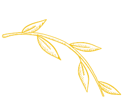 a leaf design