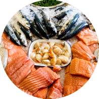 an assortment of seafoods