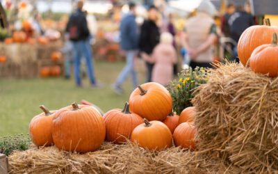 Immune-Boosting Foods to Stock Up on This Fall