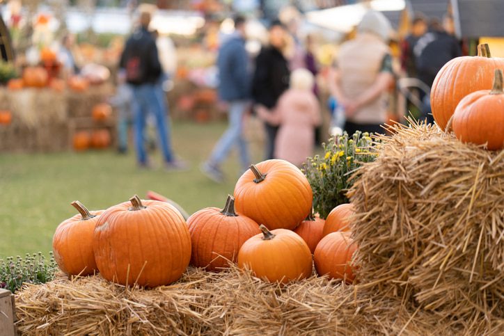 Pumpkin patch, pimpkins on hay
